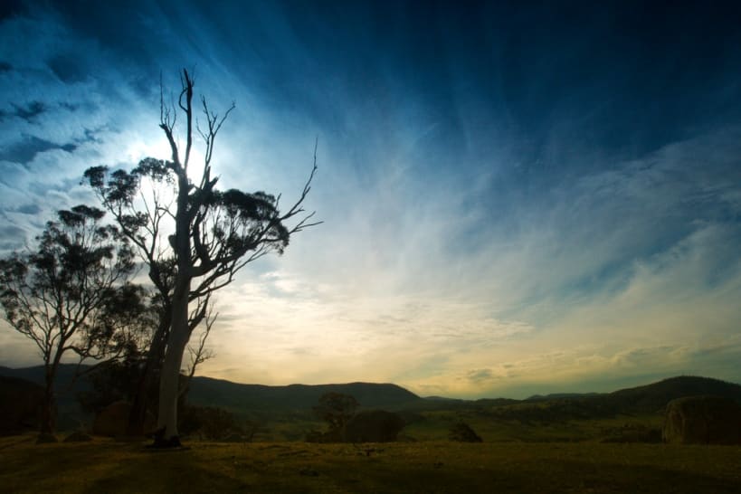 terence kearns resized